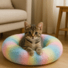 cat round bed